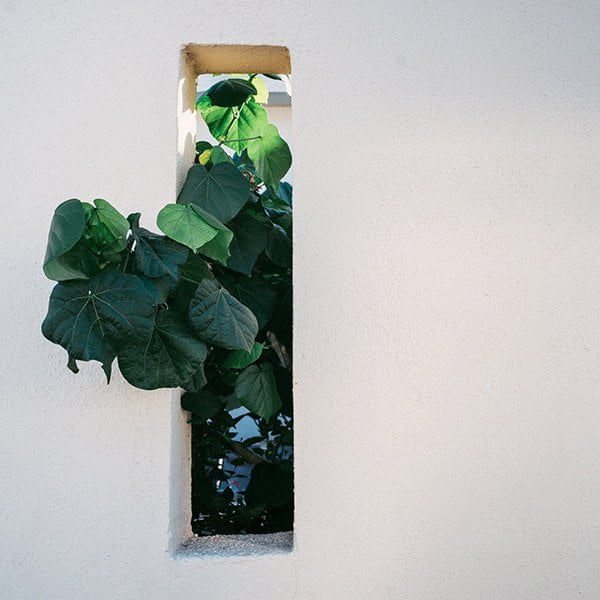 Urbanisme et nature au bureau