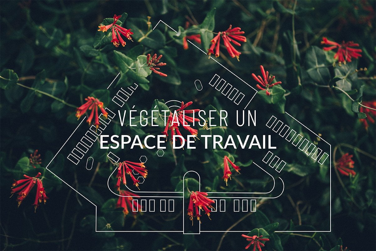 Urbanisme et nature au bureau