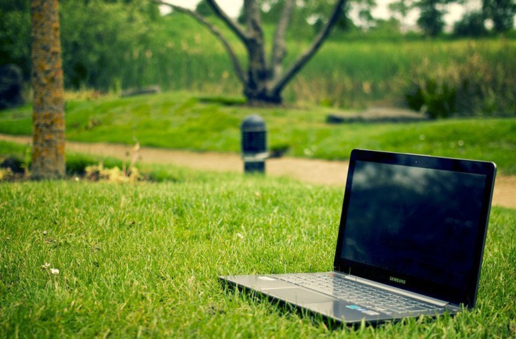 Jardin d'entreprise, projets environnementaux... quand l'écologie contribue à diminuer le mal-être au travail.