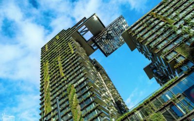 Entreprises : pourquoi s’associer à des projets environnementaux ?