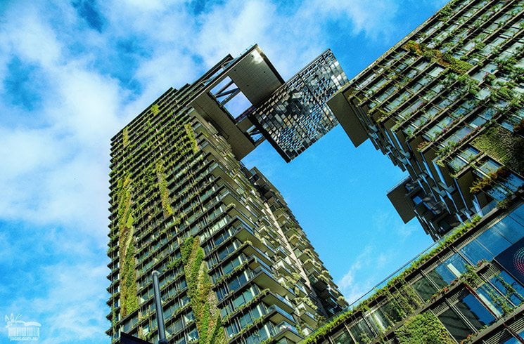 Entreprises : pourquoi s’associer à des projets environnementaux ?