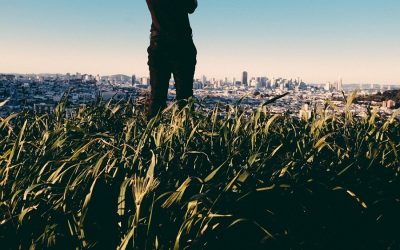 Protection de l’environnement : la place du végétal dans les villes