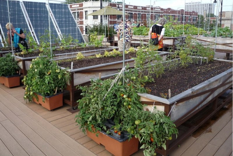 Comment créer un jardin bio ?