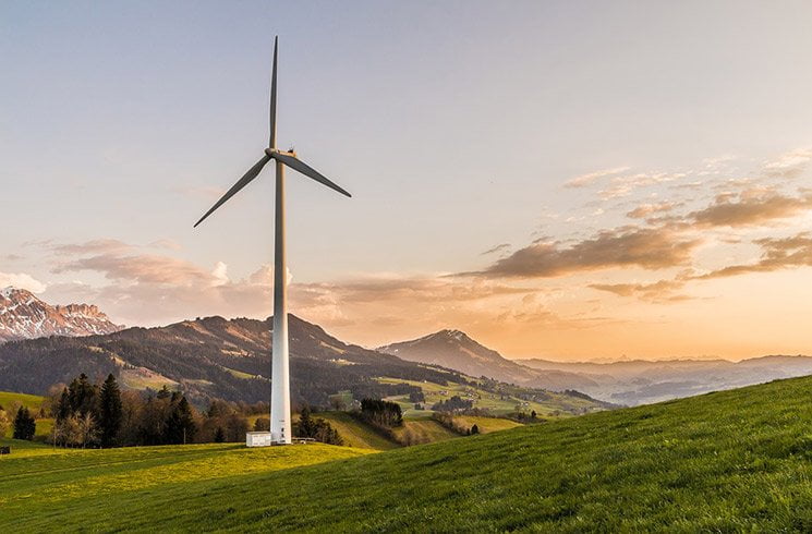 Les entreprises ont compris aujourd'hui que leurs actions pouvaient profondément influer sur la préservation de la biodiversité.