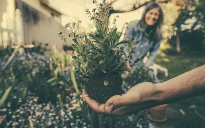 Qu’est-ce qu’un jardin d’entreprise ?