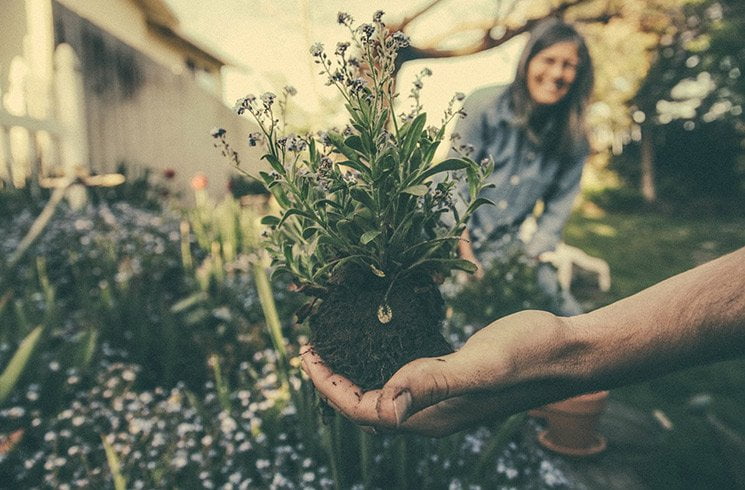 Pour animer votre jardin d'entreprise, faites appel à des professionnels.