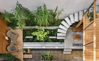 Le design biophilique d’un espace de travail