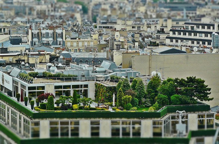 Un jardin d'entreprise en toit-terrasse peut offrir suffisamment d'espace et de luminosité pour varier les plantations.