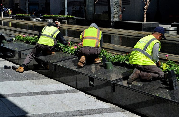 Choisissez l'expertise de professionnels pour la création de votre jardin d'entreprise.