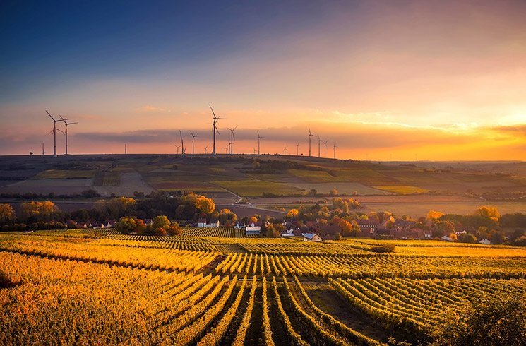 Les modes de culture en milieu urbain se proposent de libérer l'agriculture du monde rural.