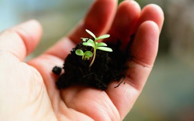 Comment concilier agriculture et environnement ?
