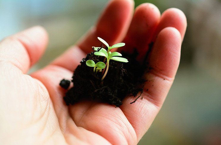 Protéger durablement la nature grâce à l'agrciulture bio.