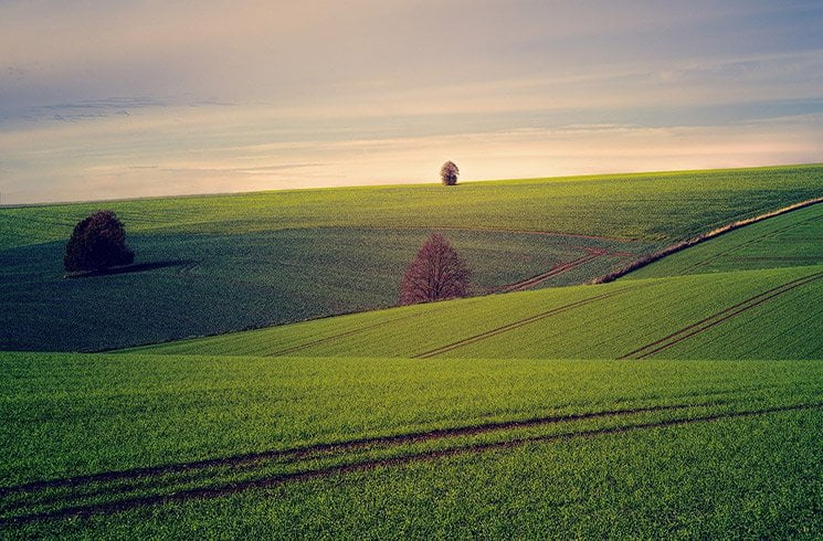 Une vaste étendue de champs, résultat de l'agriculture intensive