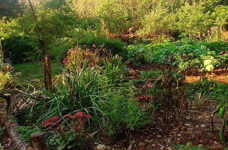 La permaculture, un moyen de rendre votre jardin heureux.