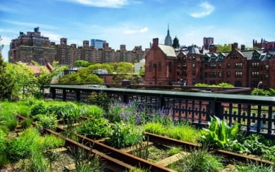 A quoi sert la permaculture ?