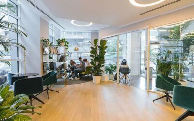 Bien-être au travail et Productivité : le Secret des Plantes