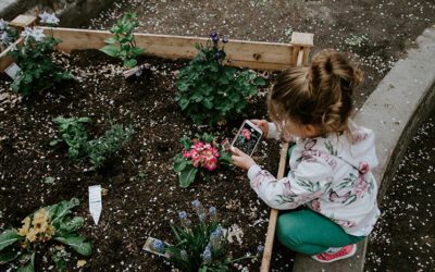 Créer un jardin partagé : 5 étapes clés