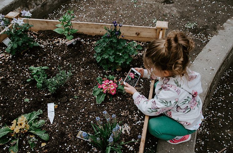 Créer un jardin partagé : 5 étapes clés