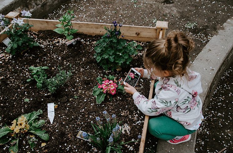 Petite fille dans un jardin partagé prend en photo une fleur.