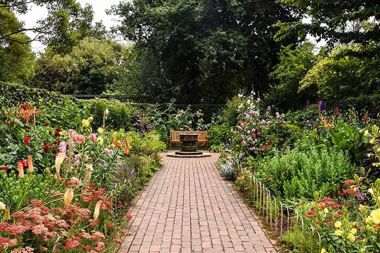 Un espace de nature avec des fleurs et un banc, pour s’y connecter